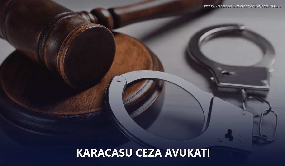 Karacasu Ceza Avukatı
