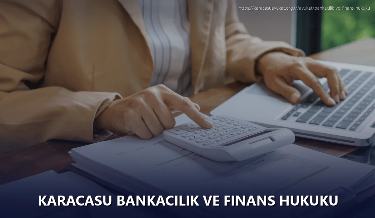 Karacasu Bankacılık ve Finans Hukuku