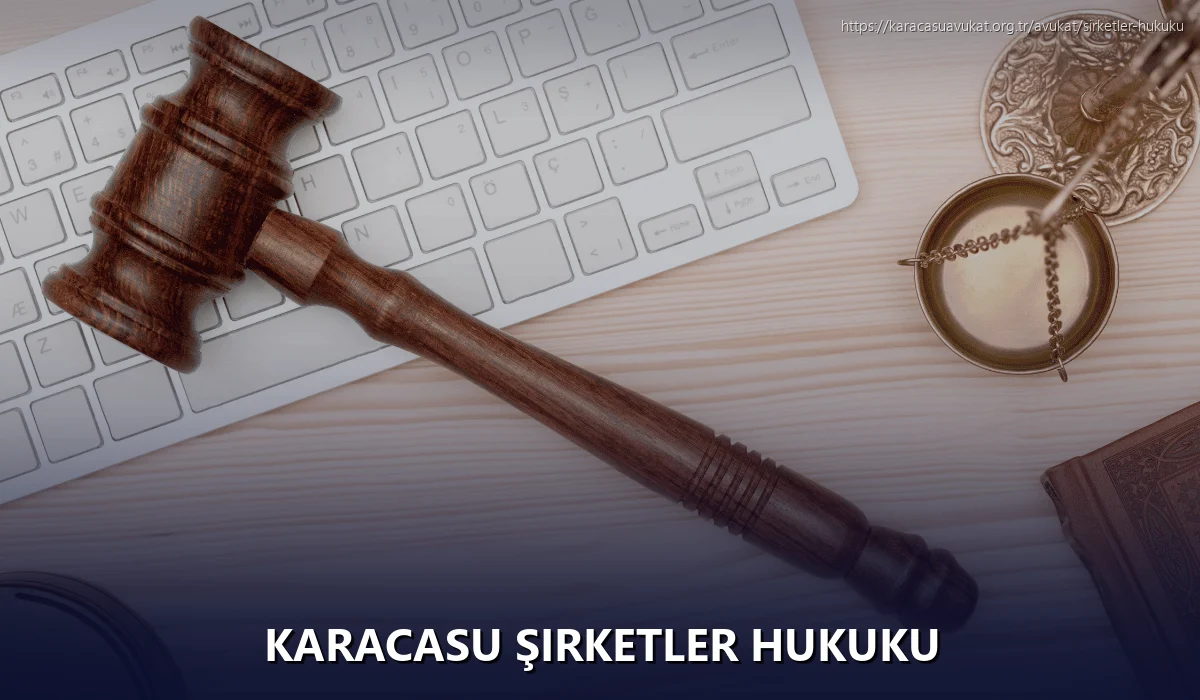 Karacasu Şirketler Hukuku